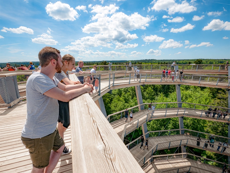 @erlebnis akademie agbaumwipfelpfad schwarzwald 2