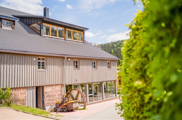 camping langenwald laden beitragsbild