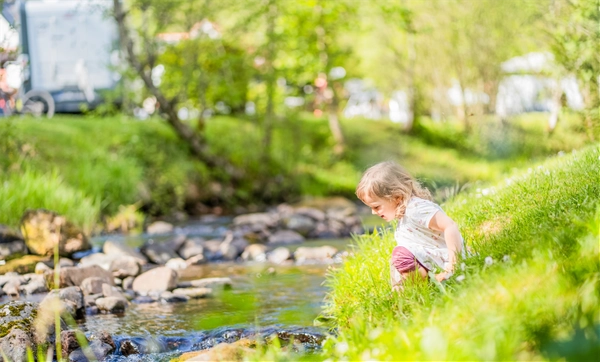 camping langenwald platz am bach beitragsbild