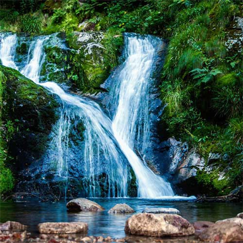 Ausflugsziele im Schwarzwald 2 wasserfall allerheiligen beitragsbild