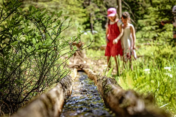 Zwei kleine Mädchen spielen an einem rustikalen Holzwasserrinne im Wald am Camping Langenwald, umgeben von sattem Grün und Sonnenstrahlen.