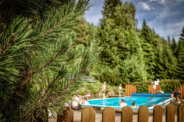 Sicht auf den Pool mit Blick auf den Tannen besetzten Berg im Hintergrund im Camping Langenwald
