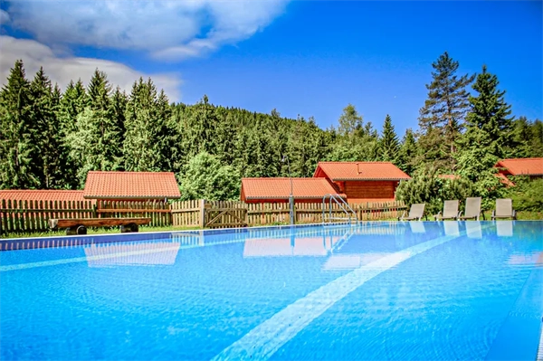Schönes Schwimmbecken mit Sonnenliegen mit aussiecht auf die mit Tannen bewachsenen Berge und Unsere Ferienhäuser im Camping langenwald