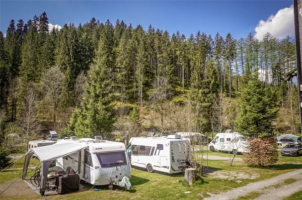 stellplatz camping langenwald beitragsbild (5)