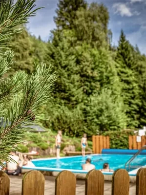 Sicht auf den Pool mit Blick auf den Tannen besetzten Berg im Hintergrund im Camping Langenwald