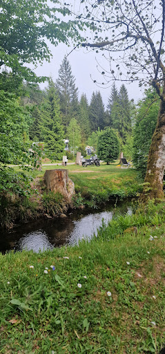 Natur-Camping Langenwald im Schwarzwald 34 media thumbnail 3