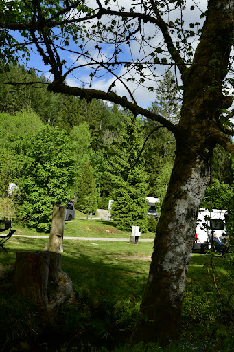 Natur-Camping Langenwald im Schwarzwald 36 media thumbnail 5
