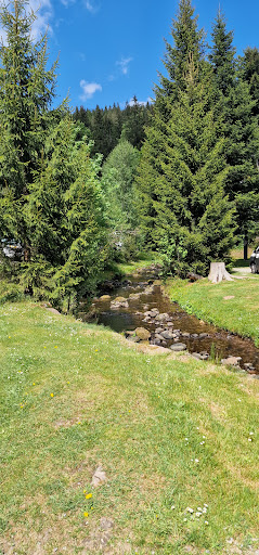 Natur-Camping Langenwald im Schwarzwald 37 media thumbnail 6