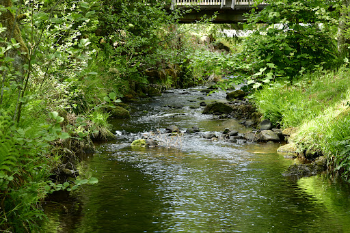 Natur-Camping Langenwald im Schwarzwald 38 media thumbnail 7