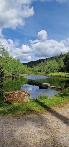 Natur-Camping Langenwald im Schwarzwald 40 media thumbnail 9