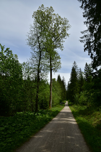 Natur-Camping Langenwald im Schwarzwald 41 media thumbnail 10