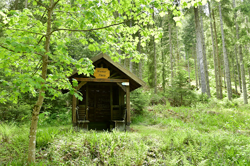 Natur-Camping Langenwald im Schwarzwald 42 media thumbnail 11