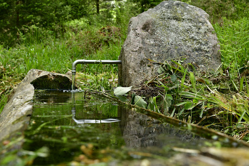 Natur-Camping Langenwald im Schwarzwald 43 media thumbnail 12