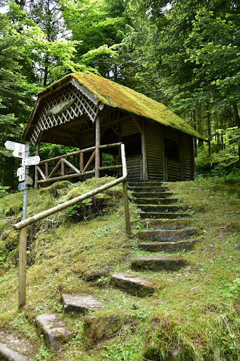Natur-Camping Langenwald im Schwarzwald 46 media thumbnail 15