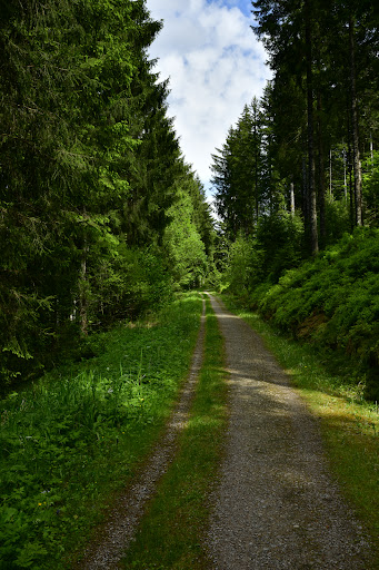 Natur-Camping Langenwald im Schwarzwald 47 media thumbnail 16