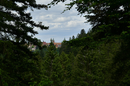 Natur-Camping Langenwald im Schwarzwald 48 media thumbnail 17
