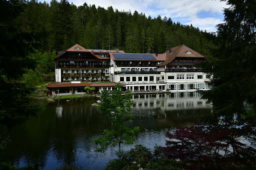 Natur-Camping Langenwald im Schwarzwald 49 media thumbnail 18