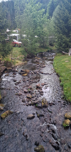Natur-Camping Langenwald im Schwarzwald 50 media thumbnail 19