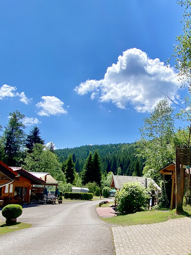 Natur-Camping Langenwald im Schwarzwald_GB 34 media thumbnail 2