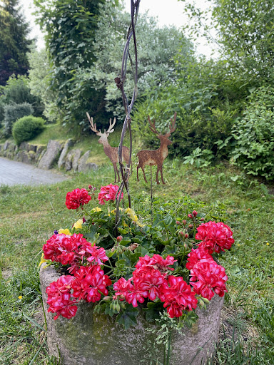 Natur-Camping Langenwald im Schwarzwald_GB 35 media thumbnail 3