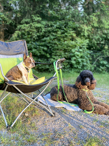 Natur-Camping Langenwald im Schwarzwald_GB 36 media thumbnail 4