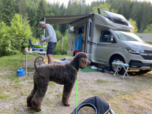 Natur-Camping Langenwald im Schwarzwald_GB 37 media thumbnail 5